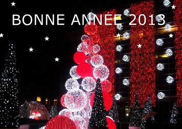 Voeux 2013