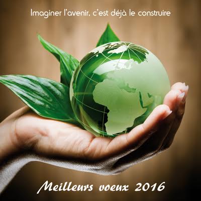 Voeux2016