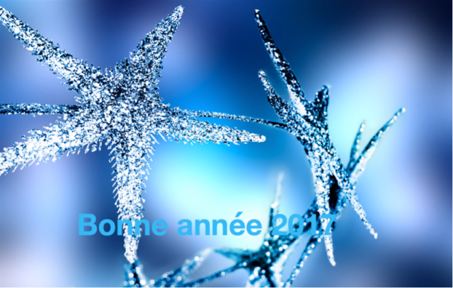 Voeux 2017